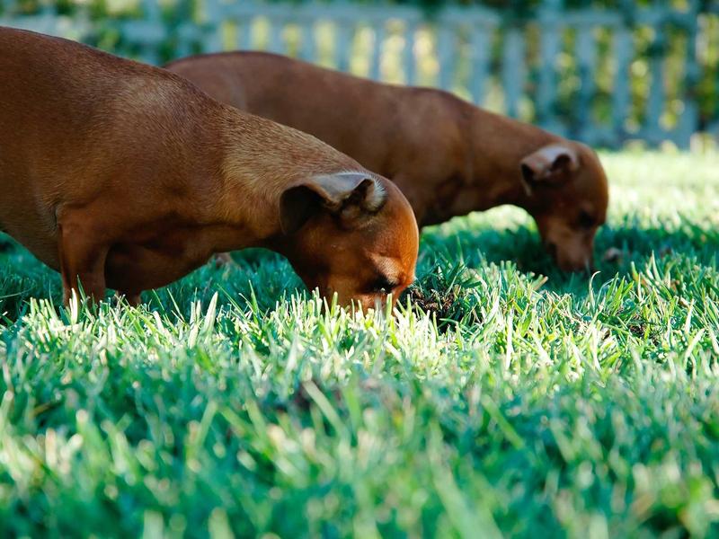 partners screenshot 1